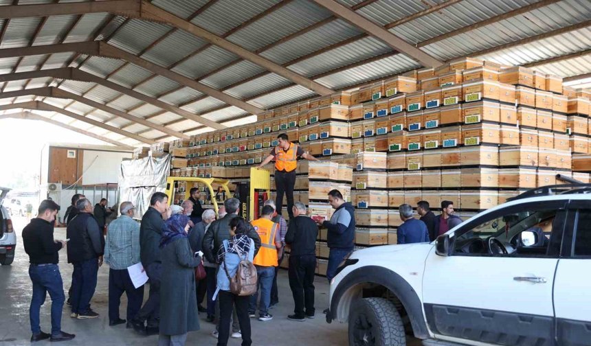 Büyükşehirden üreticiye arı kovanı desteği