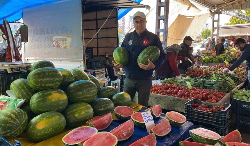 Karpuz pazara dilim dilim düştü: Kilosu 50 TL