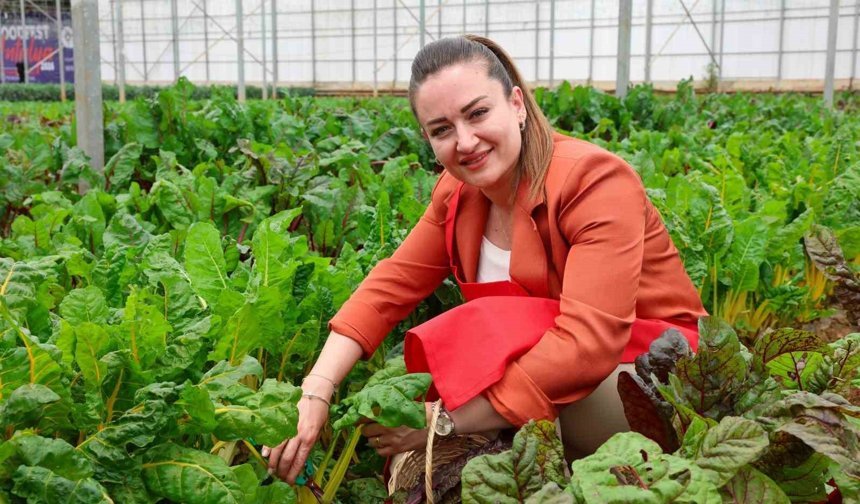 5. Uluslararası Antalya FoodFest Gastronomi Festivali Akdeniz yeşillikleri hasadıyla başladı