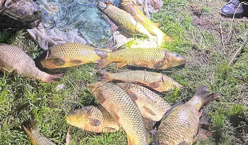 Eğirdir Gölü'nde kaçak avcılara suçüstü: 100 kilo sazan yeniden göle bırakıldı